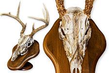 New Camoflauge Dip Now Available!