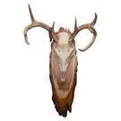 Live Edge Mount with Engraving