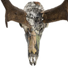 Mossy Oak New Break Up