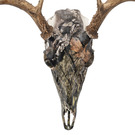 Mossy Oak Break Up Country